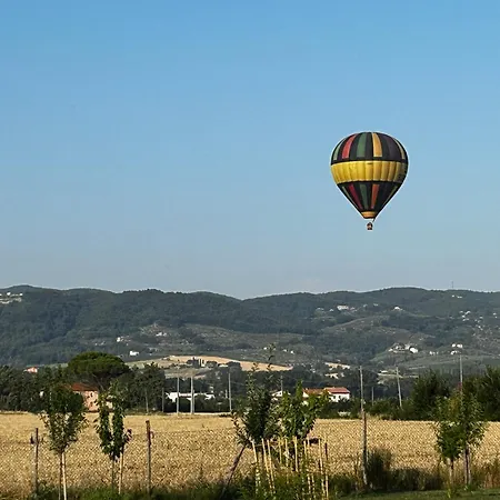 Essentia Assisi - And Retreat Bed and breakfast
