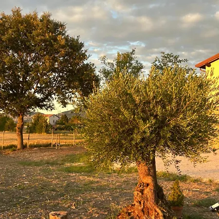 Essentia Assisi - And Retreat